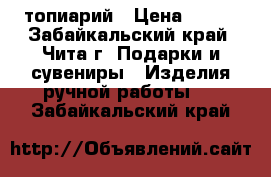 топиарий › Цена ­ 500 - Забайкальский край, Чита г. Подарки и сувениры » Изделия ручной работы   . Забайкальский край